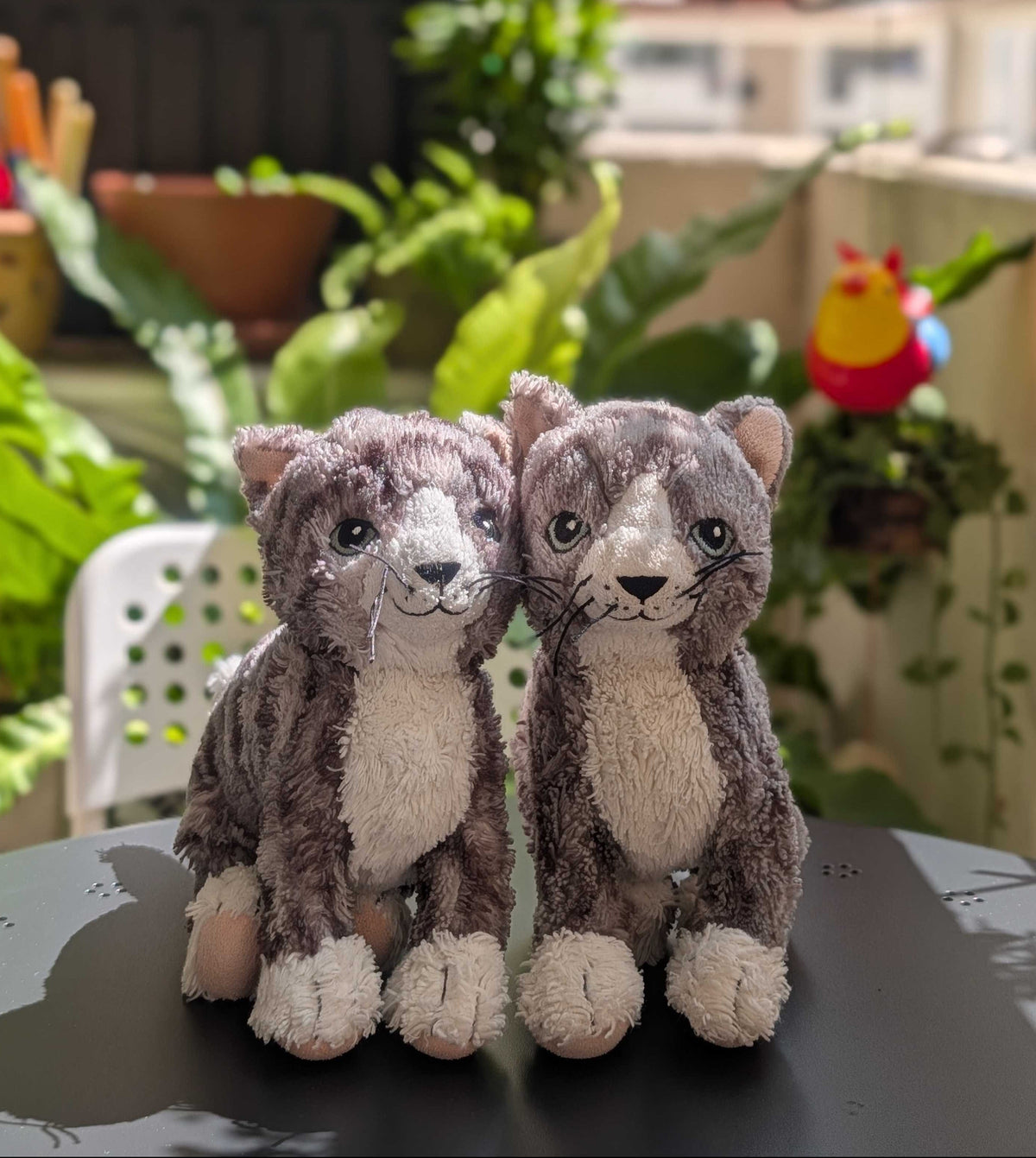 Two plush stuffed animals shaped like small cats sitting side by side on a dark table, with a real indoor balcony or garden setting in the background.